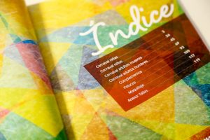 Editorial Catálogo Plasticosur - Indice