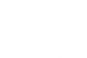 Portfolio - Clínica Neurodem - Logo