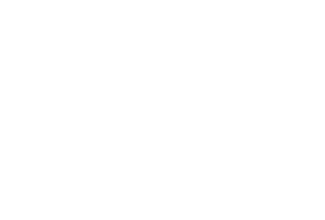 Portfolio - BUONI - Logo diseño web